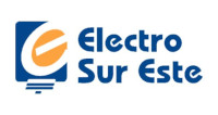 Electro Sur Este S.A.A.